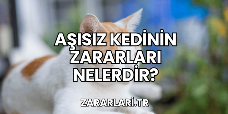Aşısız Kedinin Zararları Nelerdir?