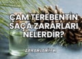 Çam Terebentin Saça Zararları Nelerdir?