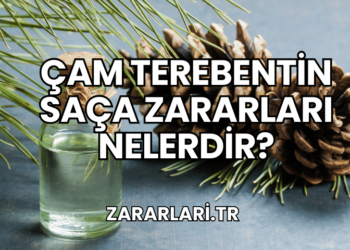 Çam Terebentin Saça Zararları Nelerdir?