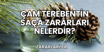 Çam Terebentin Saça Zararları Nelerdir?