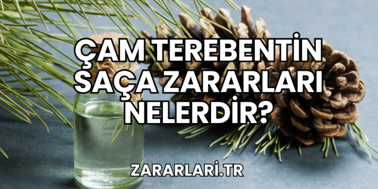 Çam Terebentin Saça Zararları Nelerdir?