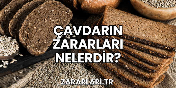 Çavdarın Zararları Nelerdir?