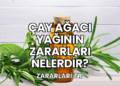 Çay Ağacı Yağının Zararları Nelerdir?