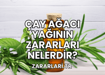 Çay Ağacı Yağının Zararları Nelerdir?