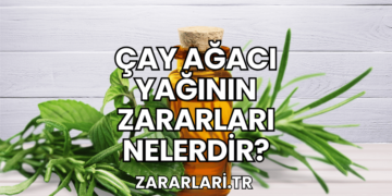 Çay Ağacı Yağının Zararları Nelerdir?