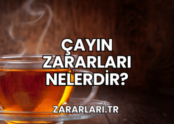 Çayın Zararları Nelerdir?