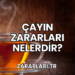 Çayın Zararları Nelerdir?