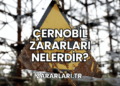 Çernobil Zararları Nelerdir?