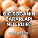 Çiğ Soğanın Zararları Nelerdir?