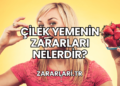 Çilek Yemenin Zararları Nelerdir?