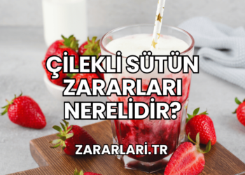 Çilekli Sütün Zararları Nerelidir?