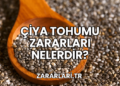 Çiya Tohumu Zararları Nelerdir?