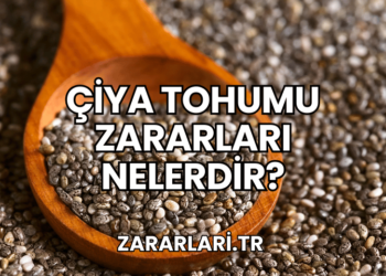 Çiya Tohumu Zararları Nelerdir?