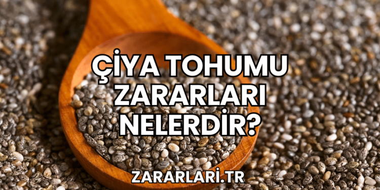 Çiya Tohumu Zararları Nelerdir?