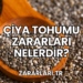 Çiya Tohumu Zararları Nelerdir?
