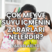 Çok Meyve Suyu İçmenin Zararları Nelerdir?