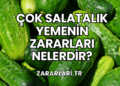 Çok Salatalık Yemenin Zararları Nelerdir?