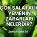 Çok Salatalık Yemenin Zararları Nelerdir?