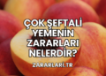Çok Şeftali Yemenin Zararları Nelerdir?