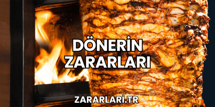 Dönerin Zararları