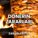 Dönerin Zararları