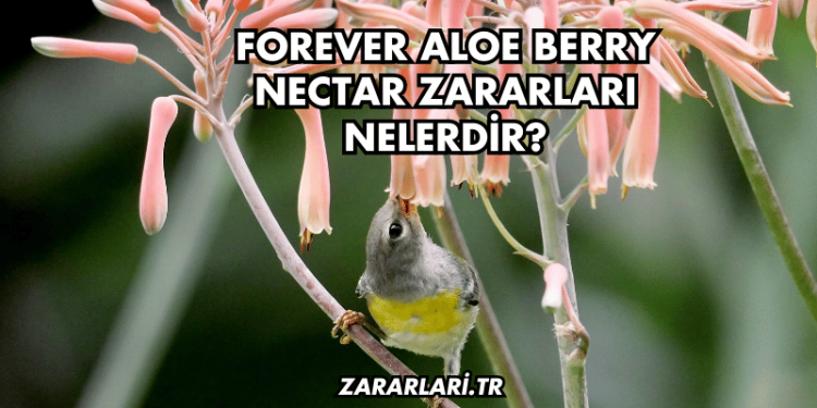 Forever Aloe Berry Nectar Zararları Nelerdir?