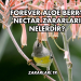 Forever Aloe Berry Nectar Zararları Nelerdir?