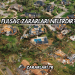 Fulsac Zararları Nelerdir?
