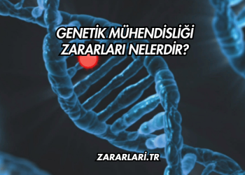 Genetik Mühendisliği Zararları Nelerdir?