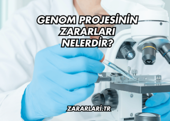 Genom Projesinin Zararları Nelerdir?