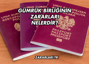 Gümrük Birliğinin Zararları Nelerdir?