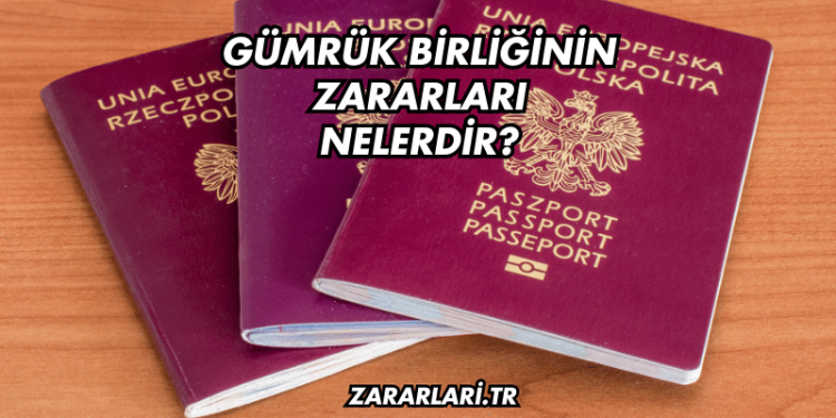 Gümrük Birliğinin Zararları Nelerdir?
