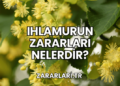 Ihlamurun Zararları Nelerdir?