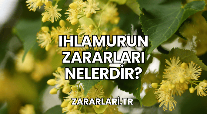 Ihlamurun Zararları Nelerdir?
