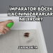 İmparator Böcek İlacının Zararları Nelerdir?