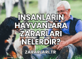 İnsanların Hayvanlara Zararları Nelerdir?