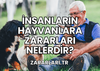 İnsanların Hayvanlara Zararları Nelerdir?