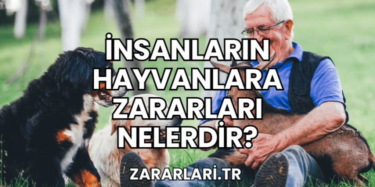 İnsanların Hayvanlara Zararları Nelerdir?