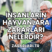 İnsanların Hayvanlara Zararları Nelerdir?