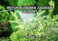 İridyum Buji Bobine Zararları Nelerdir?