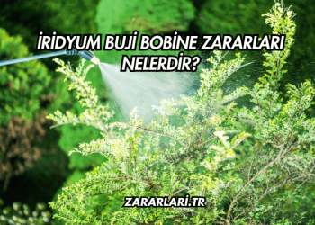 İridyum Buji Bobine Zararları Nelerdir?