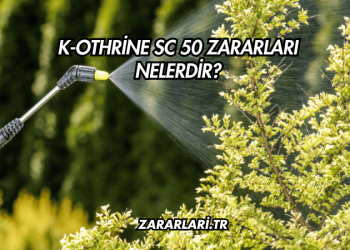 K-Othrine SC 50 Zararları Nelerdir?