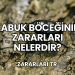Kabuk Böceğinin Zararları Nelerdir?