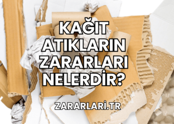 Kağıt Atıkların Zararları Nelerdir?