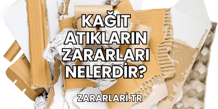 Kağıt Atıkların Zararları Nelerdir?