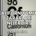 Kaliforniyumun Zararları Nelerdir?