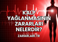 Kalp Yağlanmasının Zararları Nelerdir?