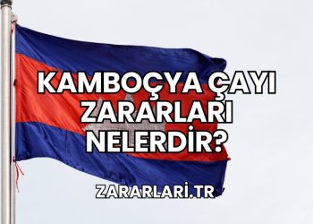 Kamboçya Çayı Zararları Nelerdir?