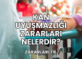 Kan Uyuşmazlığı Zararları Nelerdir?