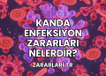 Kanda Enfeksiyon Zararları Nelerdir?